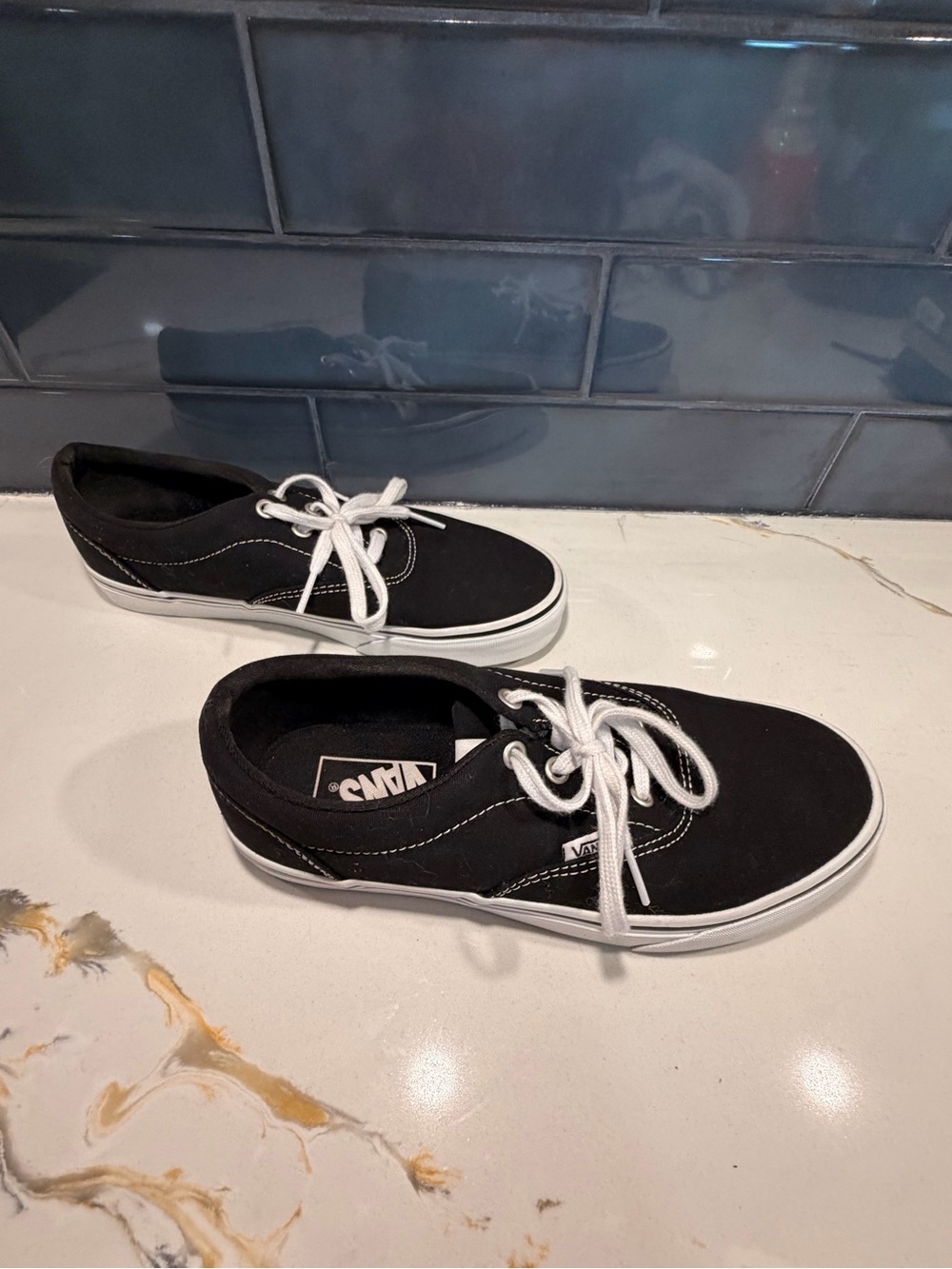 Vans Black Canvas Low-Top Sneakers with White Laces - Men
